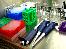 test tubes and pipettes
